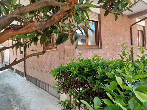 appartamento in vendita a Macerata