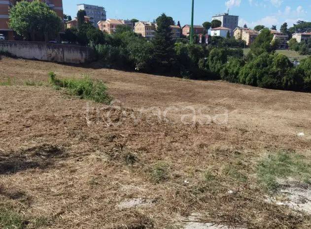 terreno agricolo in vendita a Macerata