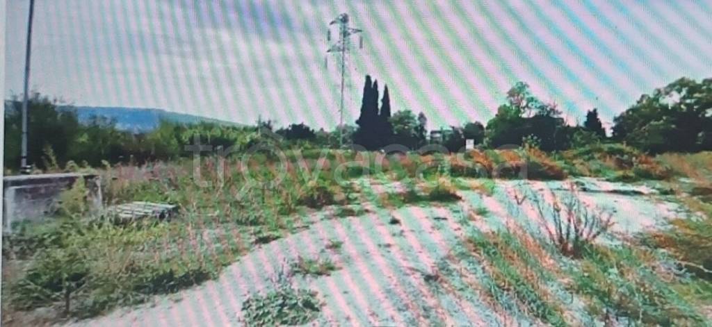 terreno agricolo in vendita a Macerata in zona Sforzacosta