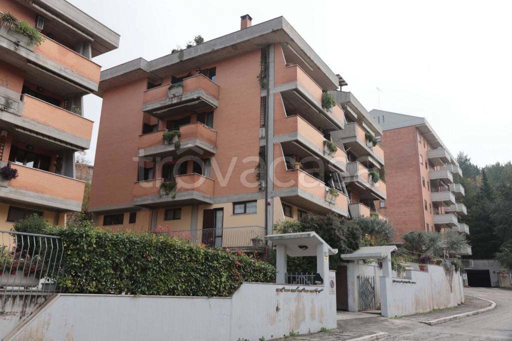 appartamento in vendita a Macerata