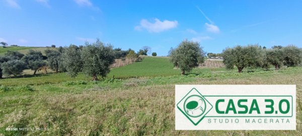 terreno agricolo in vendita a Macerata