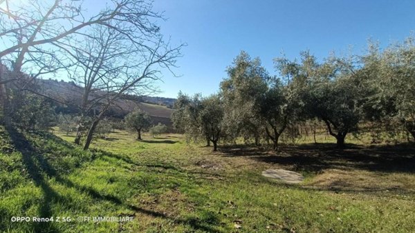 terreno agricolo in vendita a Macerata