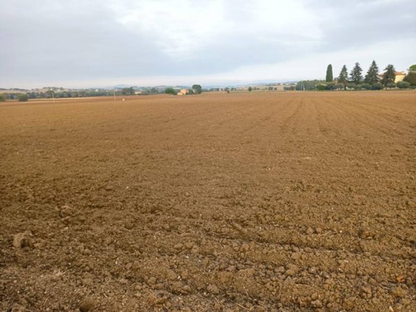 terreno agricolo in vendita a Macerata