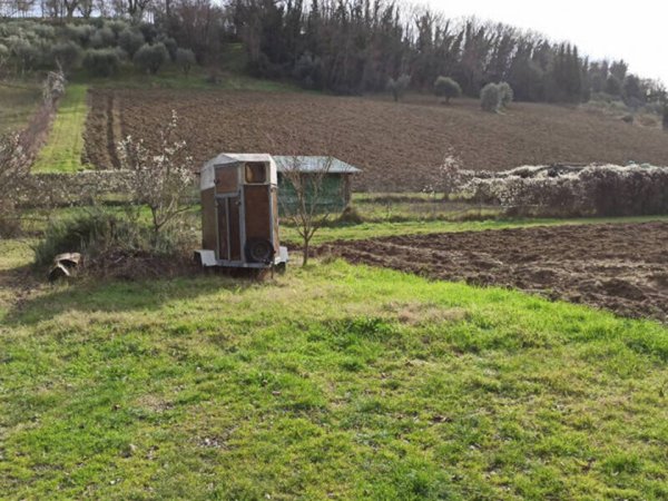 terreno agricolo in vendita a Macerata