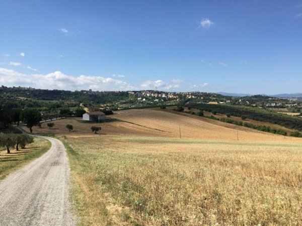 terreno agricolo in vendita a Macerata