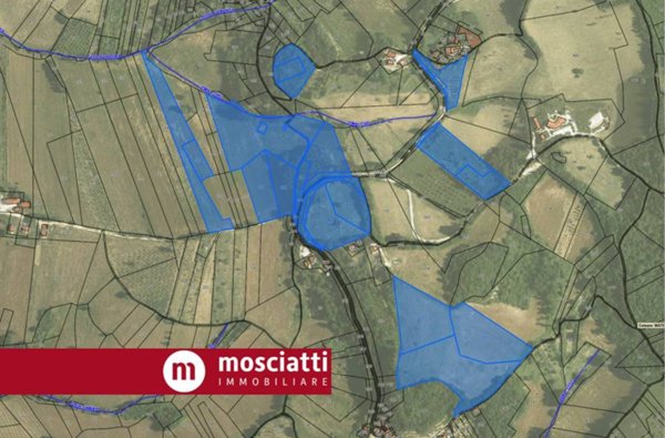 terreno agricolo in vendita a Matelica