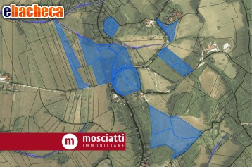 terreno agricolo in vendita a Matelica