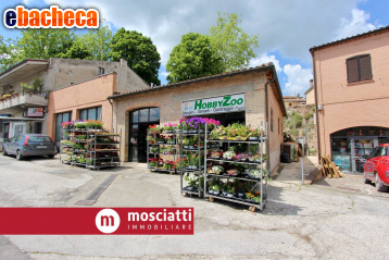 locale commerciale in vendita a Matelica