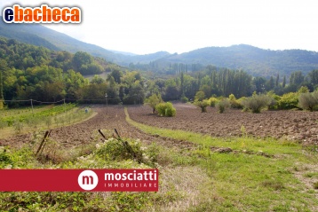 terreno agricolo in vendita a Matelica in zona Braccano