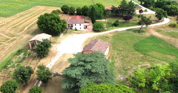 azienda agricola in vendita a Matelica