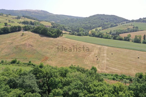 azienda agricola in vendita a Matelica
