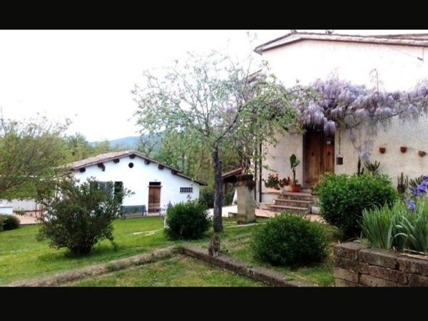 esavano in vendita a Matelica