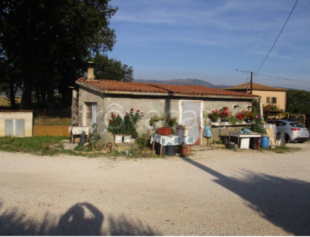 locale commerciale in vendita a Matelica