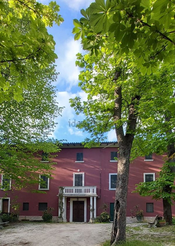 esavano in vendita a Matelica