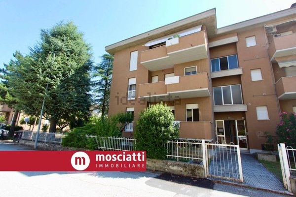 immagine annuncio 0 di 15