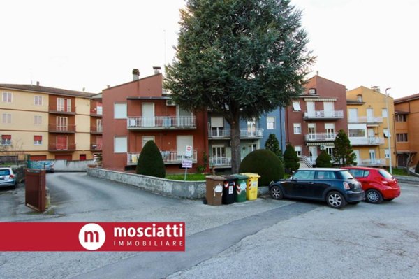 box auto in vendita a Matelica
