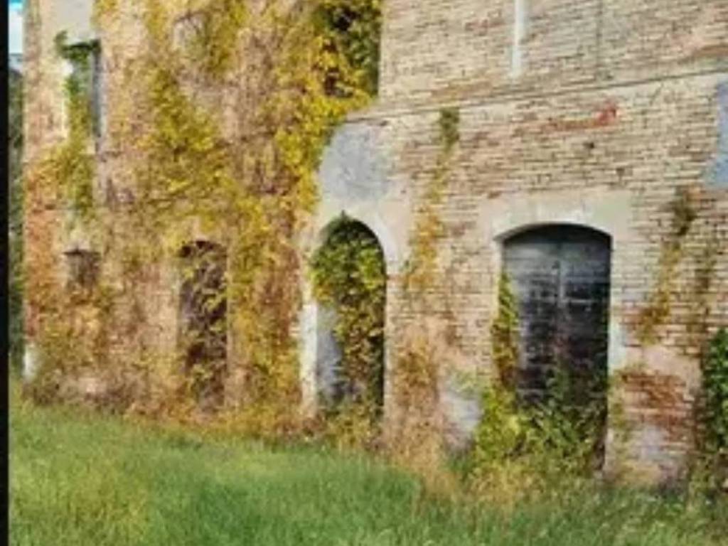 casa indipendente in vendita a Mogliano