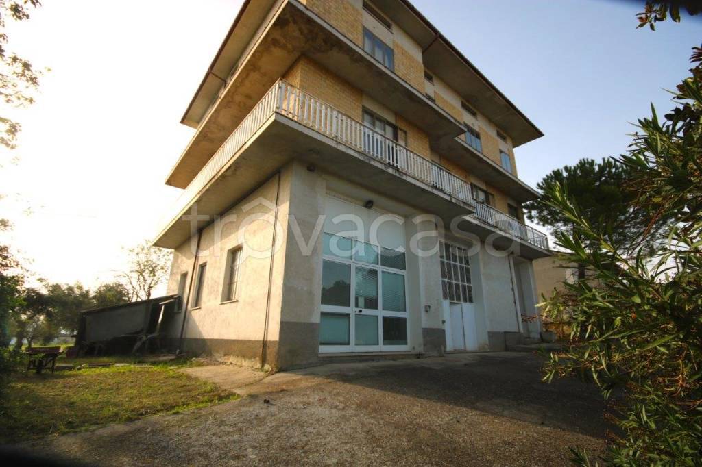 casa indipendente in vendita a Mogliano