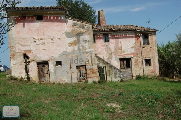 esavano in vendita a Mogliano