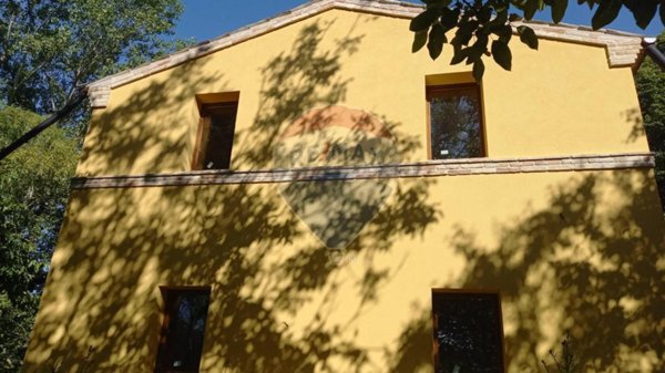 immagine annuncio 0 di 15