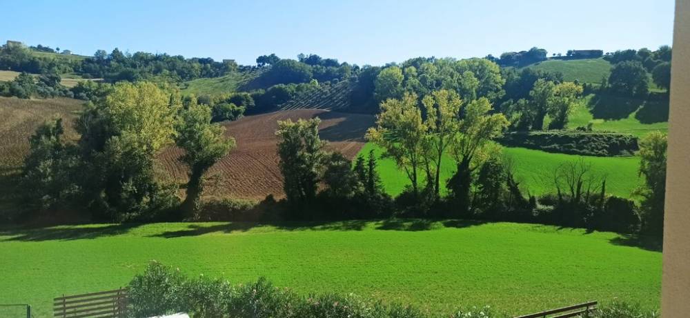 casa indipendente in vendita a Mogliano