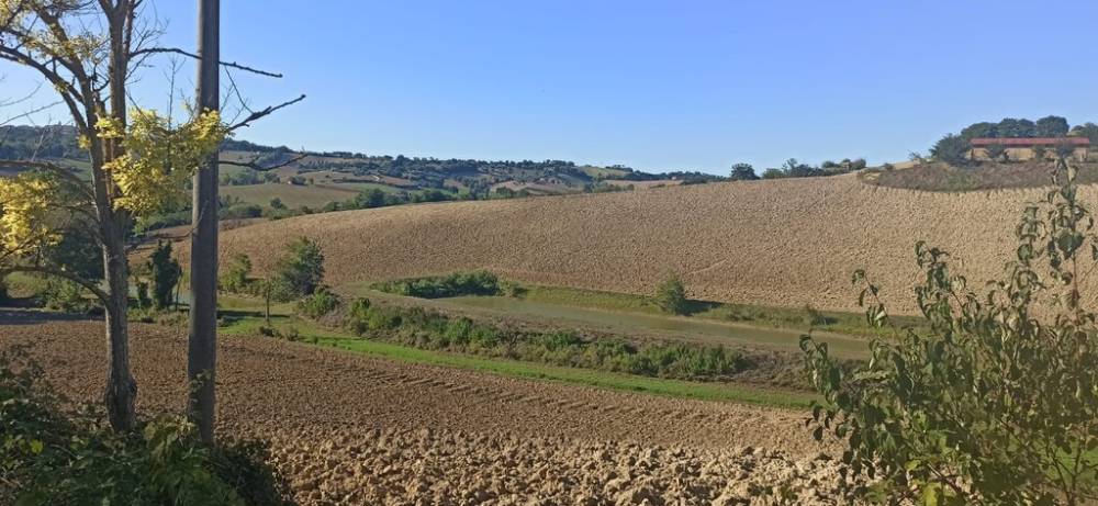 casa indipendente in vendita a Mogliano