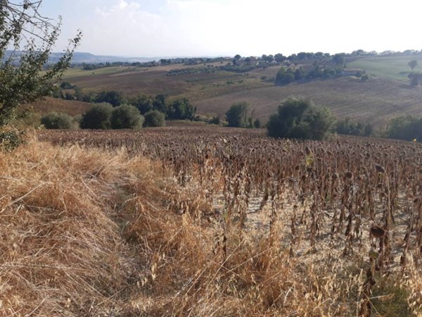 casa indipendente in vendita a Montecassiano in zona Valle Cascia