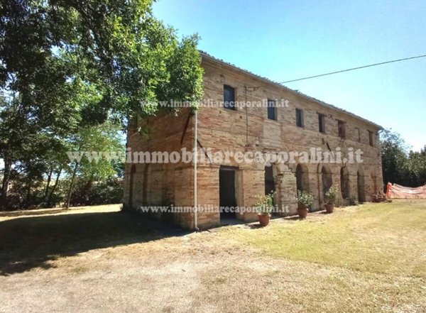 azienda agricola in vendita a Montecassiano