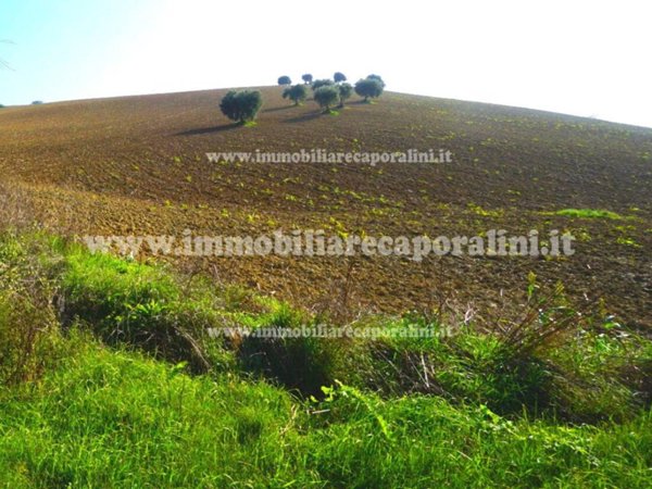 terreno agricolo in vendita a Montecassiano in zona Vissani