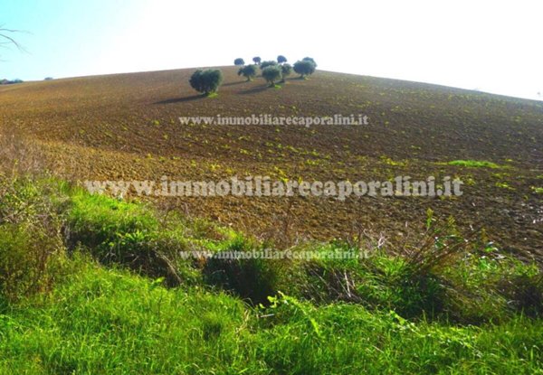 terreno agricolo in vendita a Montecassiano in zona Vissani