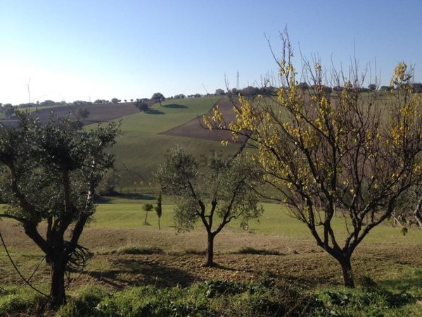 pentavano in vendita a Montecassiano