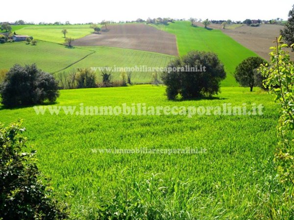 terreno agricolo in vendita a Montecassiano