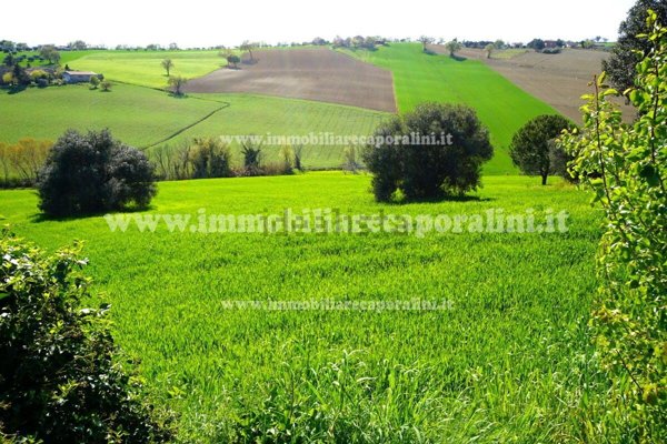terreno agricolo in vendita a Montecassiano