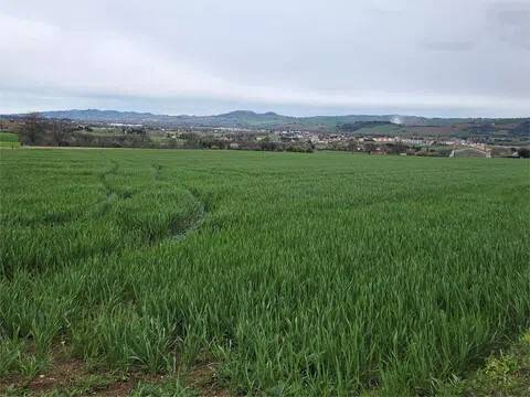terreno agricolo in vendita a Montecassiano in zona Sambucheto