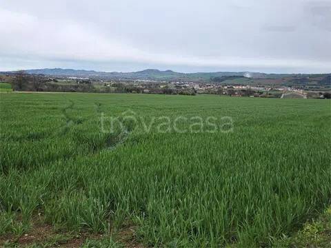 terreno agricolo in vendita a Montecassiano in zona Sambucheto