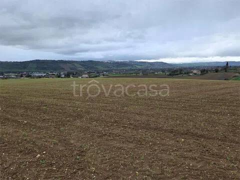 terreno agricolo in vendita a Montecassiano in zona Sambucheto