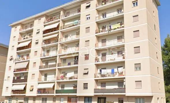 appartamento in vendita a Montecassiano in zona Valle Cascia