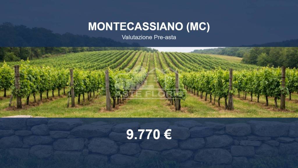 terreno agricolo in vendita a Montecassiano in zona Vissani