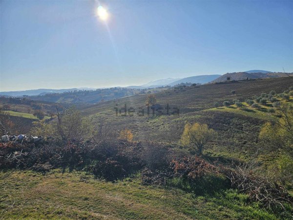 terreno agricolo in vendita a Montecassiano in zona Vissani