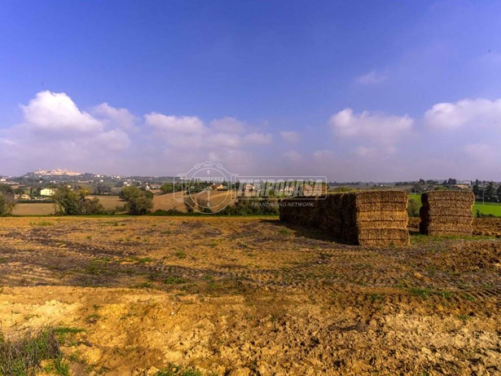 terreno agricolo in vendita a Montecosaro in zona Borgo Stazione