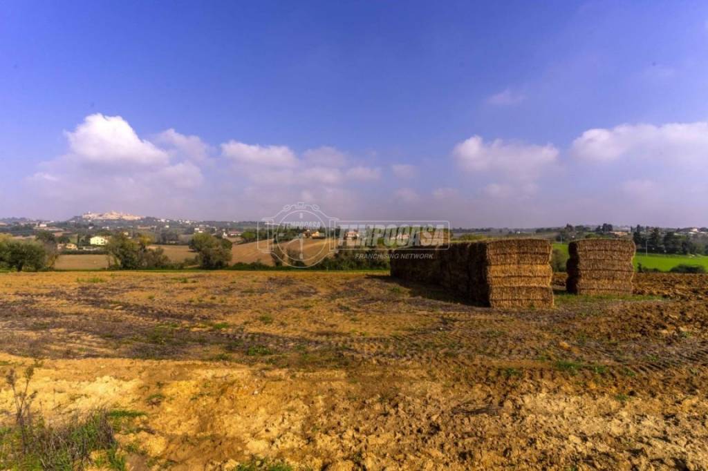terreno agricolo in vendita a Montecosaro in zona Borgo Stazione