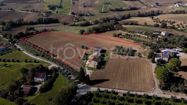 terreno agricolo in vendita a Montecosaro