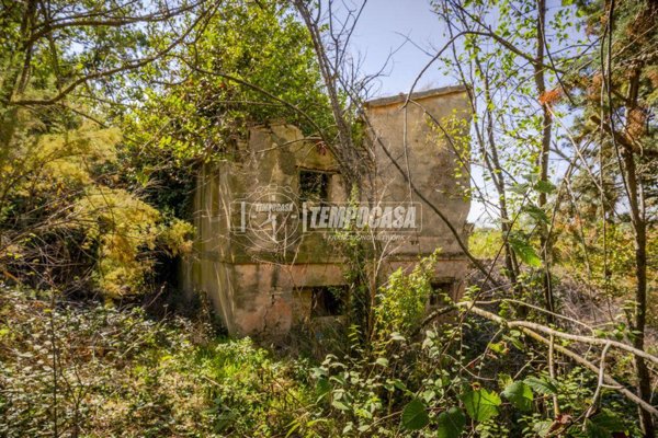 casa indipendente in vendita a Montecosaro