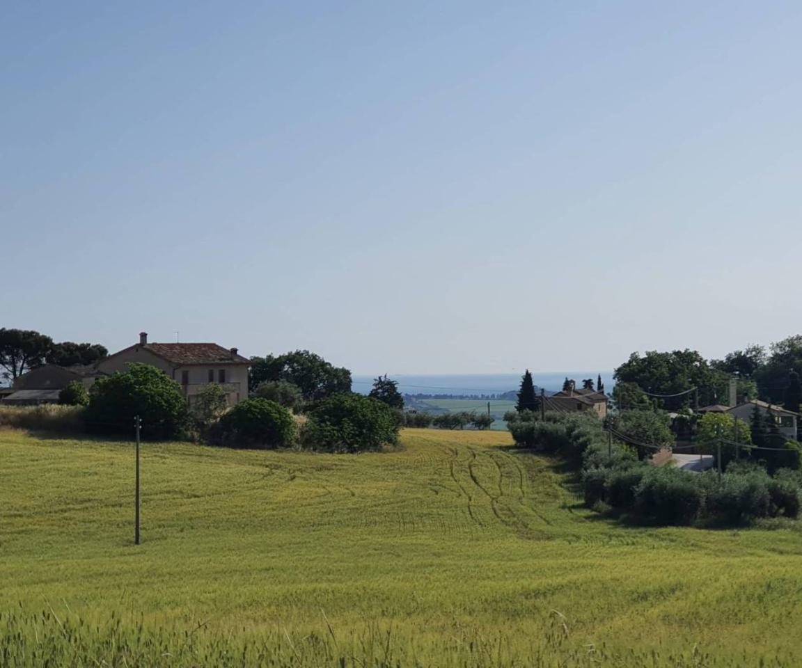 terreno agricolo in vendita a Montecosaro