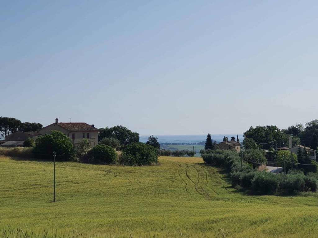 terreno agricolo in vendita a Montecosaro