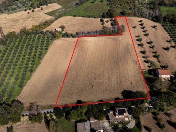 terreno agricolo in vendita a Montecosaro