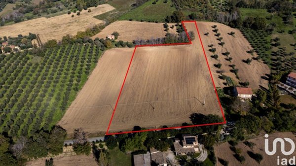 terreno agricolo in vendita a Montecosaro
