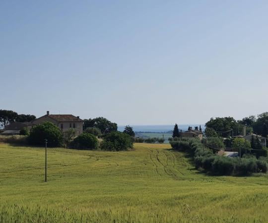 terreno edificabile in vendita a Montecosaro