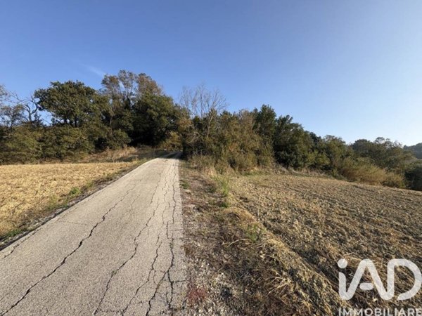 terreno agricolo in vendita a Montecosaro in zona Borgo Stazione