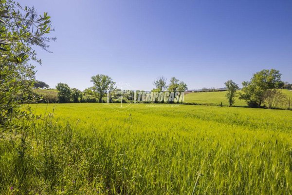 terreno agricolo in vendita a Montecosaro in zona Borgo Stazione